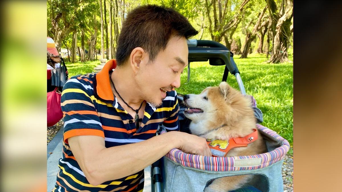 楊懷民為了照顧流浪犬甘願放棄演出機會很有愛心。(圖/楊懷民提供)
