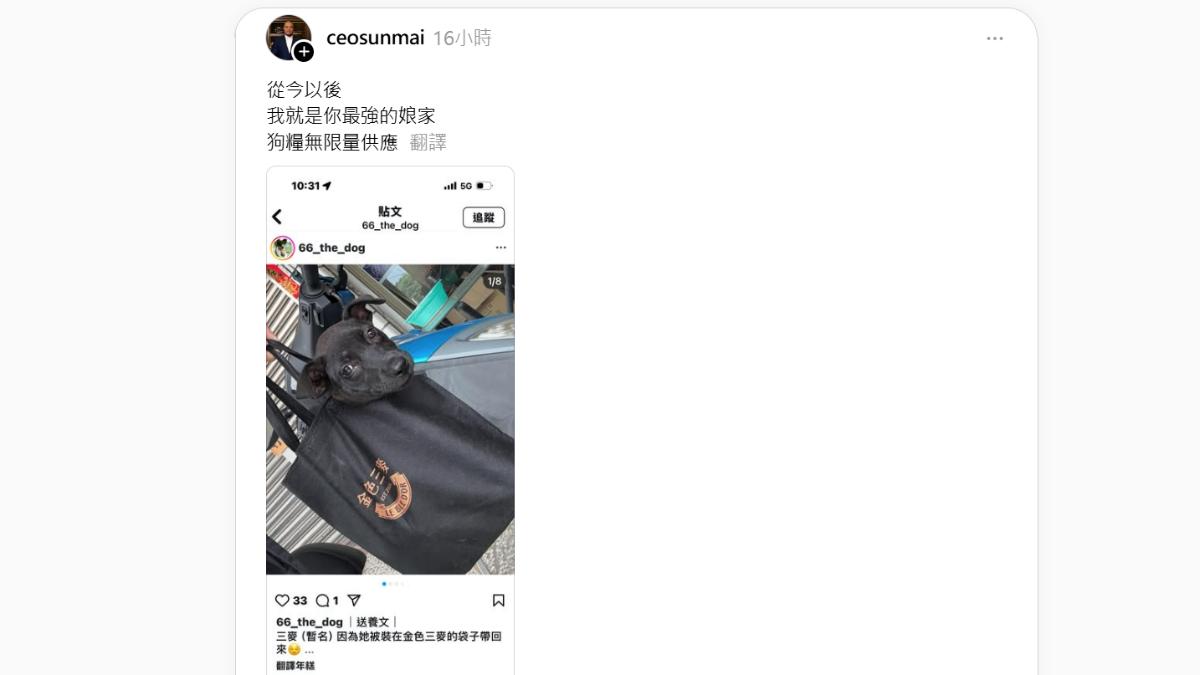 黑狗被裝這品牌購物袋找家　金色三麥老闆霸喊：我當你娘家狗糧無限供