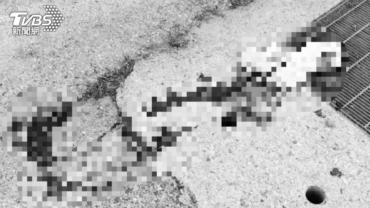 路人頭部重創、左胸與左腳骨折，血流一地。（圖／TVBS）