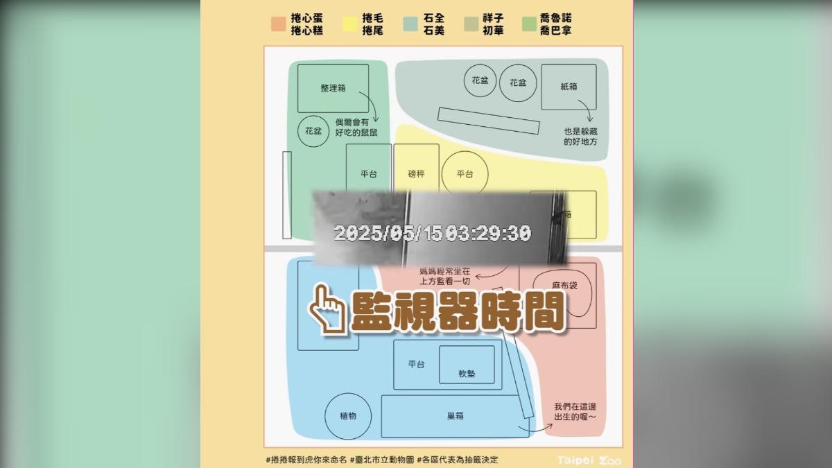 動物園利用踩點的方式來命名。（圖／台北市動物園提供）