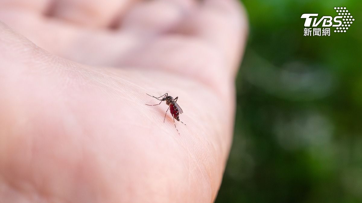 CDC warns of potential dengue outbreak (Shutterstock) Southeast Asian travel drives spike in Taiwan’s dengue cases
