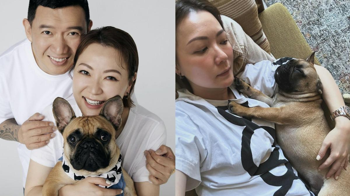 田蕊妮在Instagram貼出與杜汶澤及愛犬的全家福。（圖／翻攝自田蕊妮IG）