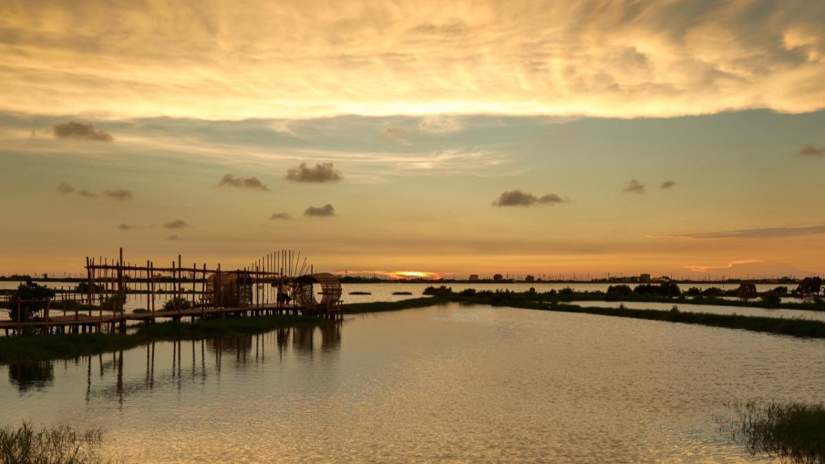 Taiwan wetland experiment creates win for birds and drainage