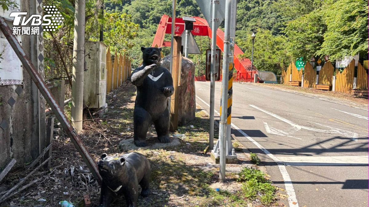 黑熊是裡冷部落重要的吉祥物。（圖／TVBS）