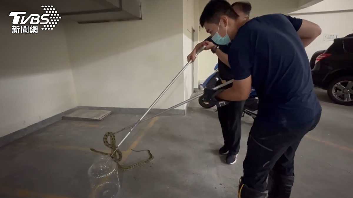 消防人員協助捉蛇。（圖／TVBS）