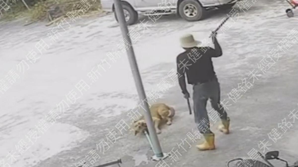狗狗疑踩壞西瓜遭棍打1分鐘　新竹男虐狗可惡行徑曝