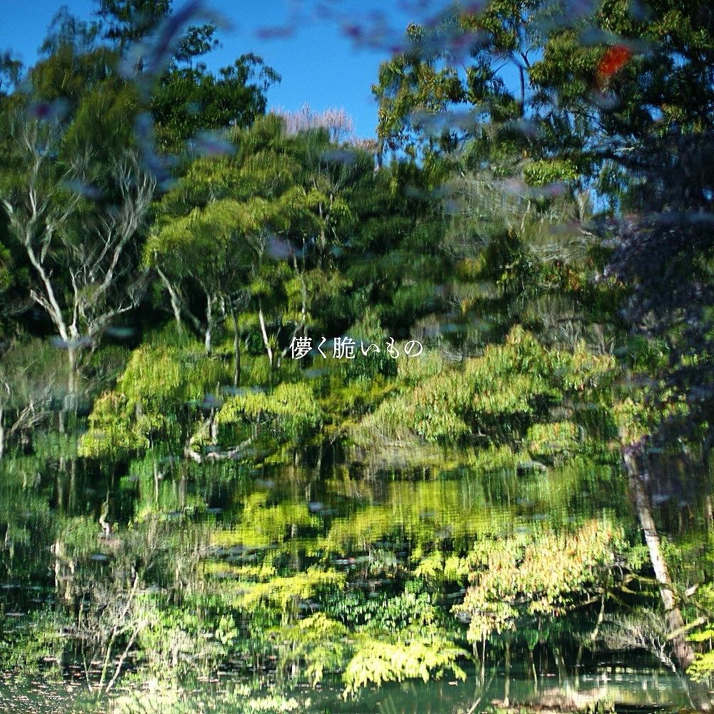 藤卷亮太3月底發行了第五張個人專輯《虛幻脆弱之物》。（圖 / 翻攝自藤卷亮太IG）