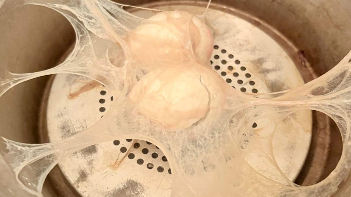 真黑暗料理！她蒸蛋「電鍋煉成盤絲洞」　萬人笑翻：很像異形卵
