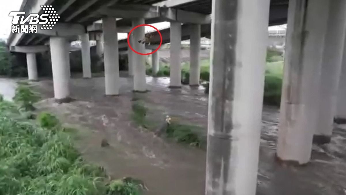 釣魚險沒命！台中暴雨男受困沙洲　消防「高空吊掛」救人