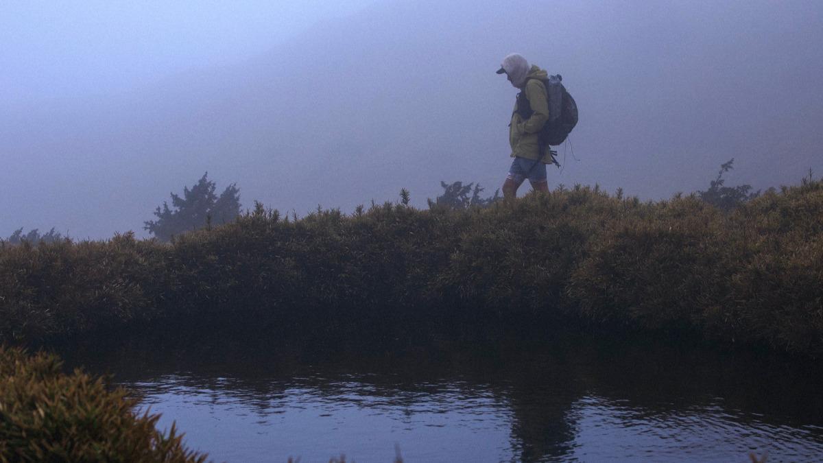 張震嶽在人生低谷選擇走入山林，獨自排解排山倒海而來的情緒。（圖／本色音樂提供）