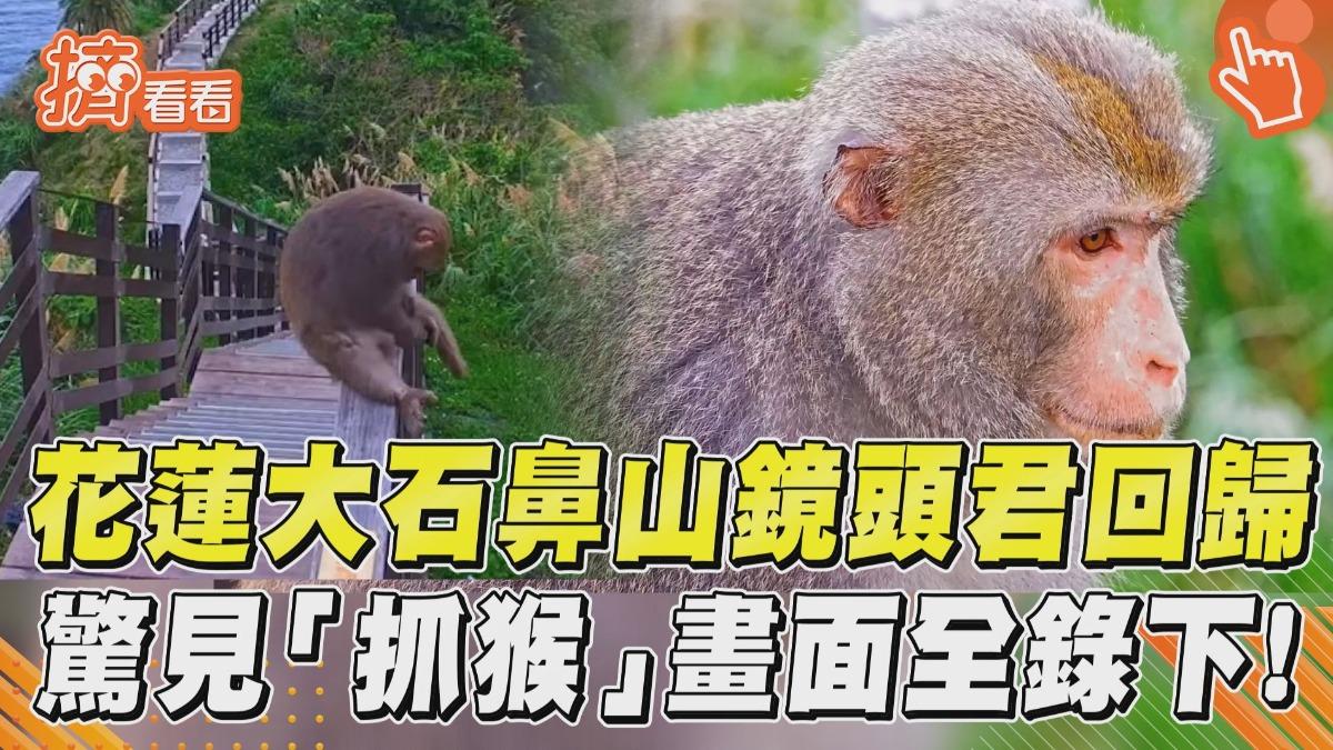 影音／花蓮大石鼻山鏡頭君回歸！　開播驚見「抓猴」畫面全錄下