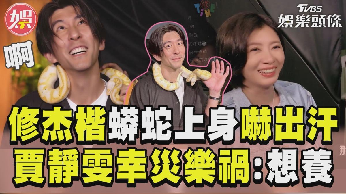 影音／修杰楷蟒蛇上身嚇出全身汗　賈靜雯幸災樂禍喊：可以養嗎