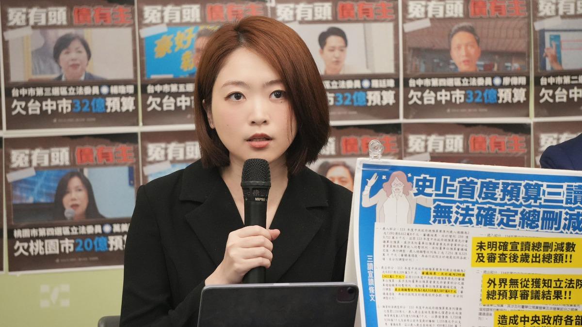 韓瑩表示，總預算爭議的罪魁禍首就是藍白。（圖／民進黨提供）