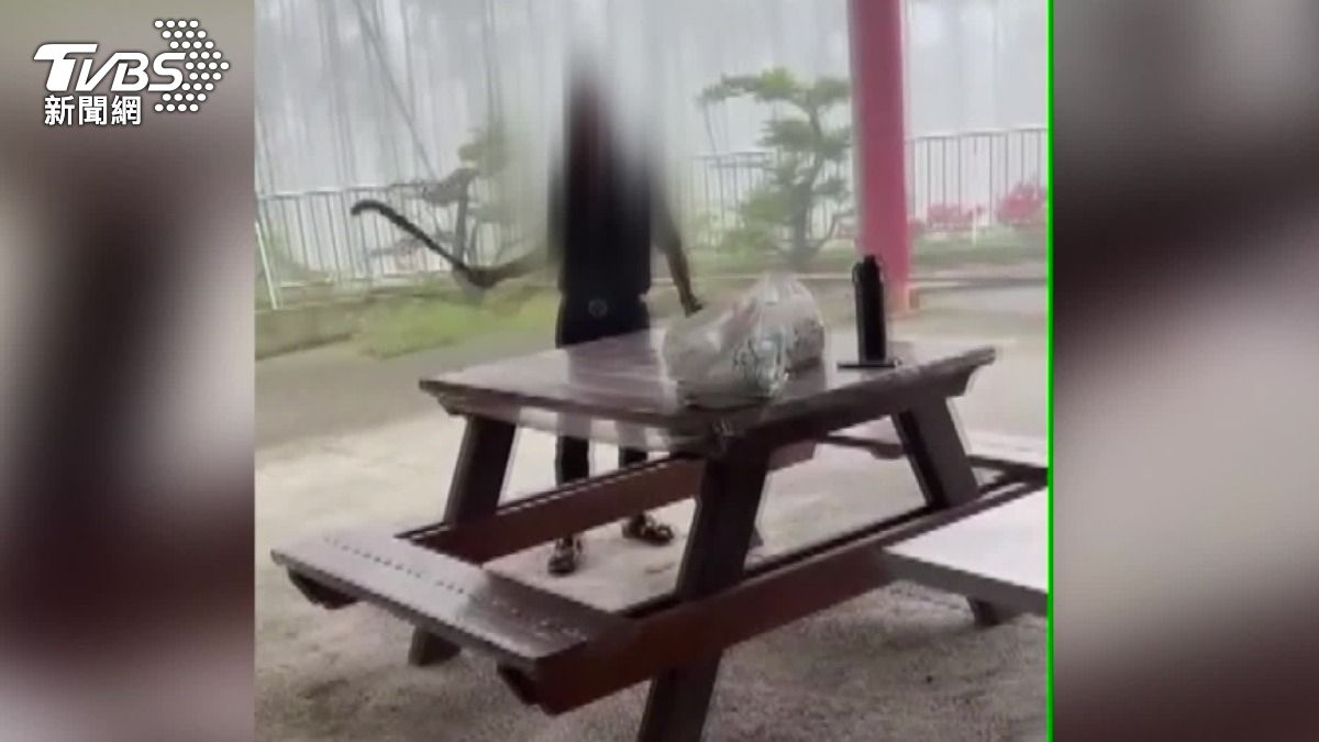 6旬民代婚外情揮柴刀吼女友　被告家暴
