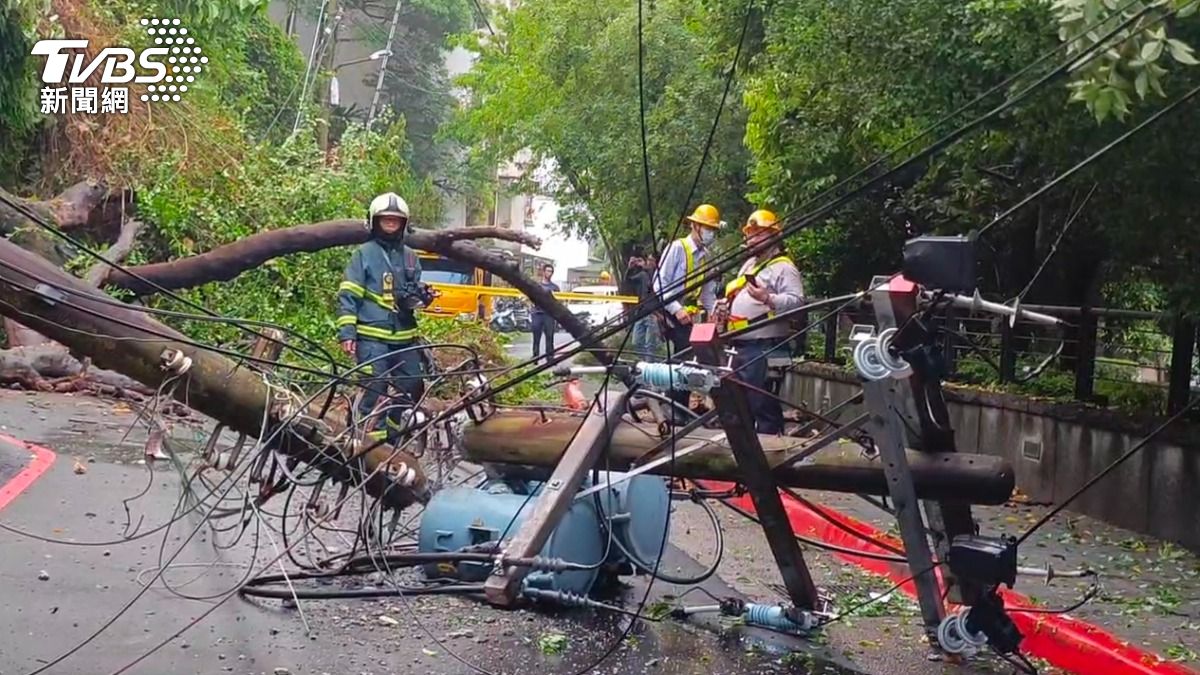 疑連日暴雨釀土石鬆動 北投路樹倒塌「拖垮2電線桿」│TVBS新聞網