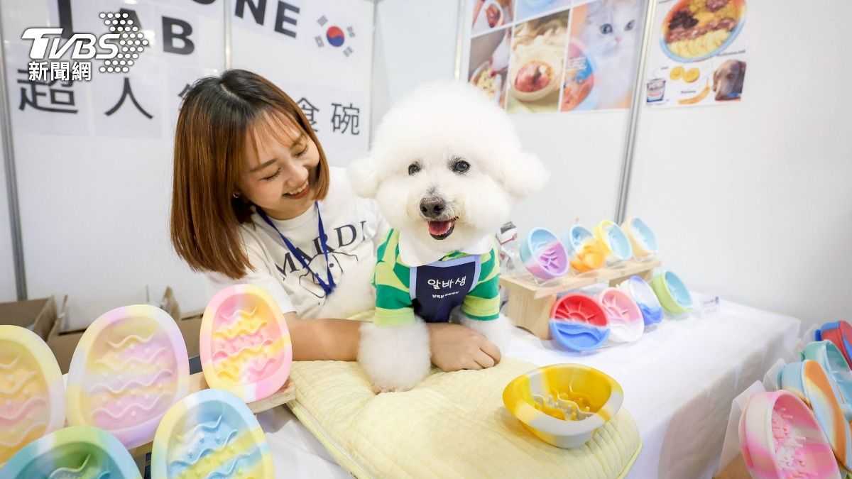 韓國寵物慢食碗。（圖／華子琛攝）