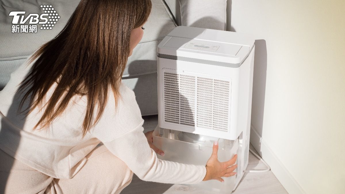 台灣頻炸雨太潮濕！譚敦慈揭除濕最佳時機　搭配1家電效果更好
