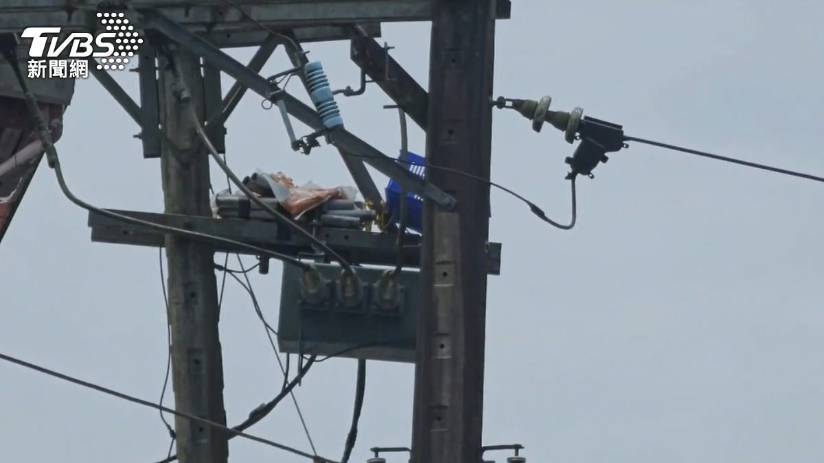喜鵲築巢害爆炸停電 電線桿放「置物籃」 台電一招奏效│TVBS新聞網