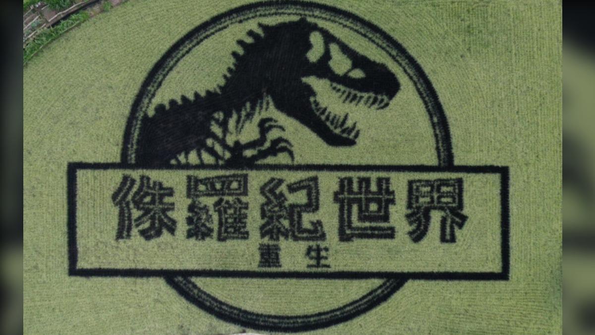 《侏羅紀世界：重生》在苗栗縣苑裡鎮打造超豪華稻田藝術。（圖／UIP提供）