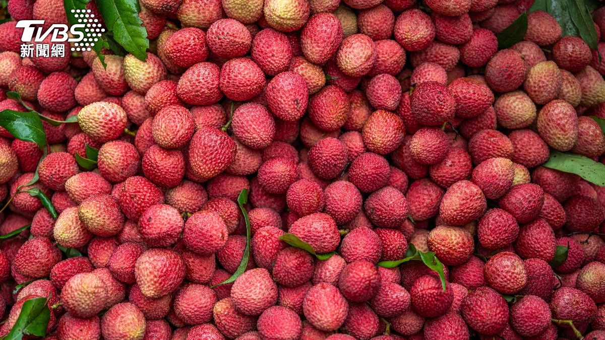 夏日果王荔枝1天可吃幾顆？農業部曝正解：過量恐流鼻血