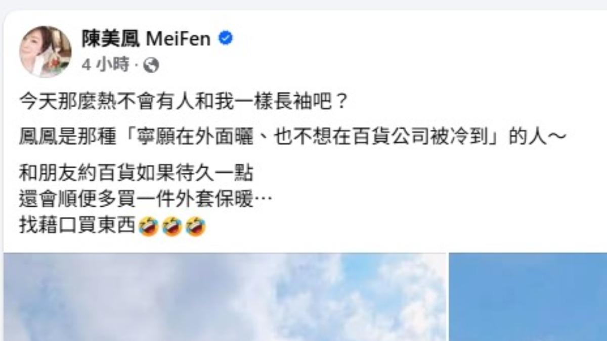 陳美鳳還會幫自己找藉口買東西。（圖／翻攝自陳美鳳臉書）