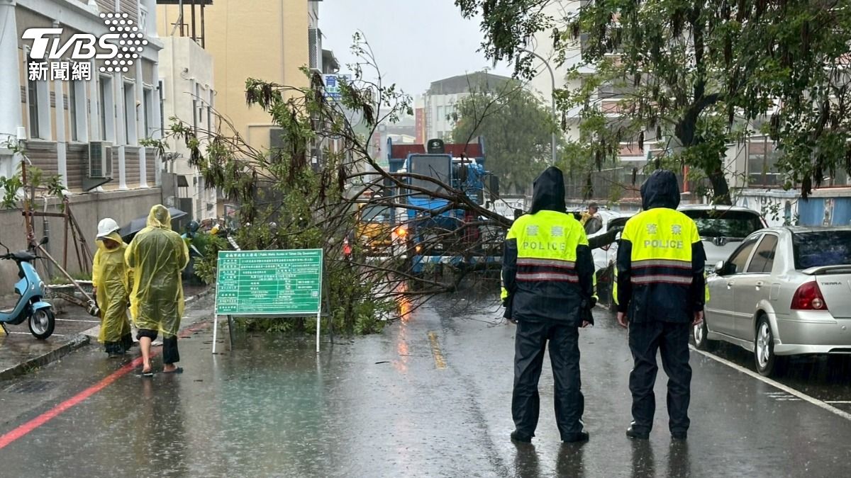 台南路樹倒塌，壓毀車輛。（圖／TVBS）