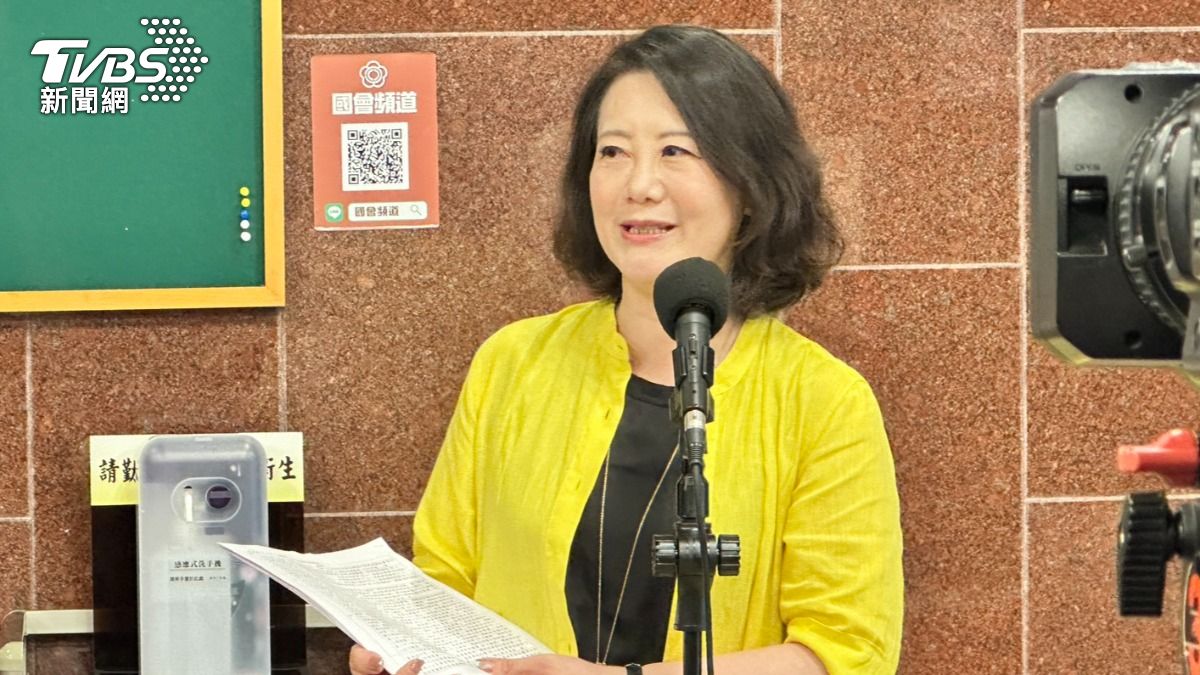 民進黨立法院黨團幹事長吳思瑤。（圖／潘袁詩羽攝）