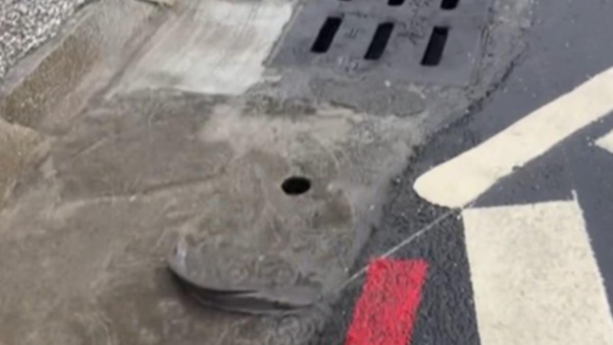 水溝冒出活蹦亂跳土虱。（圖／threads@fmz05483授權提供）