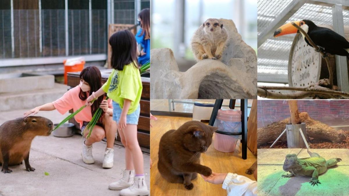 「金車礁溪蘭花園附設動植物生態館」根本是座小型動物園。（圖／Miss Mama。媽媽小姐提供）
