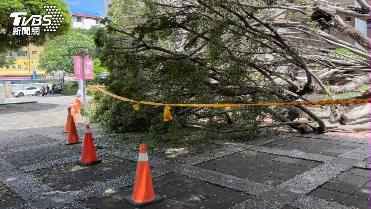 男同學死因為顱腦損傷。(圖/陳祁攝)
