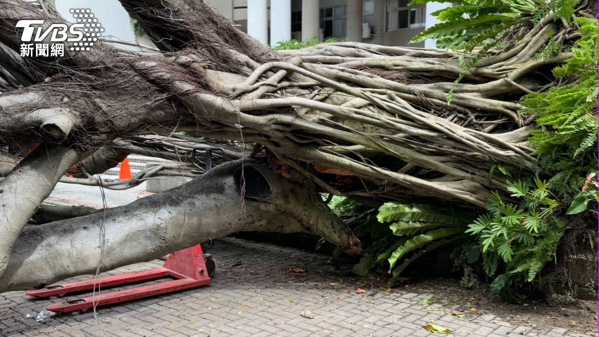 這起事件造成1死1傷的悲劇。（圖／陳祁攝）