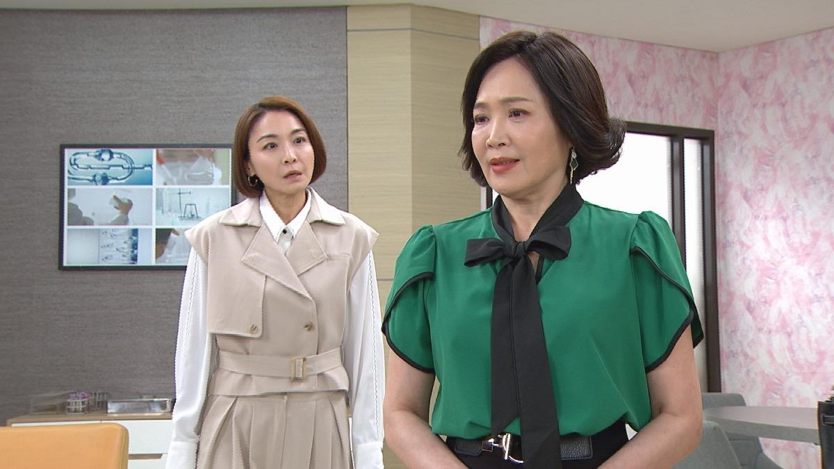 江祖平狂挨林秀玲巴掌。（圖／三立提供）