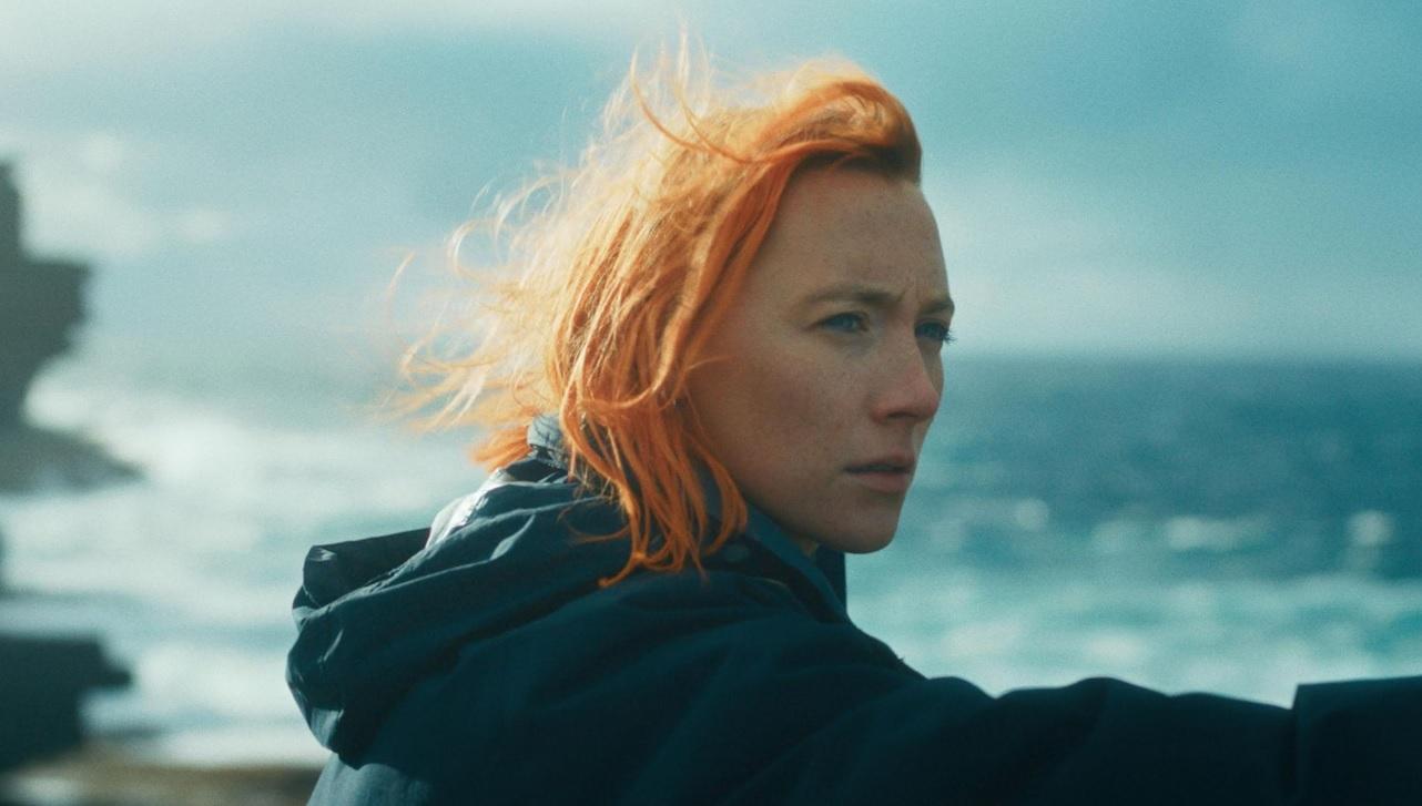 CATCHPLAY+推薦片單｜12月新片、IMDb高分票房電影一次看│TVBS新聞網