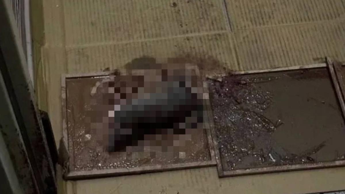 林酒店又被爆料，林酒店的1、3、6樓均有廚房，其中3樓鼠患最為嚴重。（圖／翻攝自臉書「匿名2公社」）