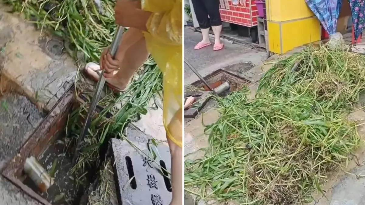 高雄大雨水溝堵塞！「600公斤雜草」在裡面　網怒：都沒清嗎？