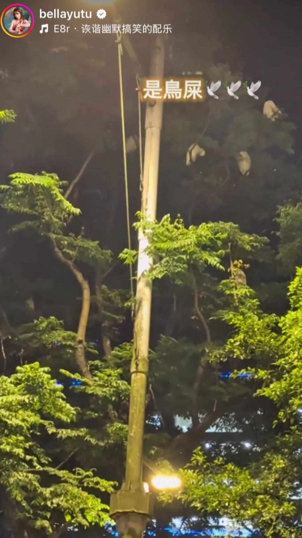 玉兔分享以為愛車被潑漆的畫面。（圖／翻攝玉兔IG）