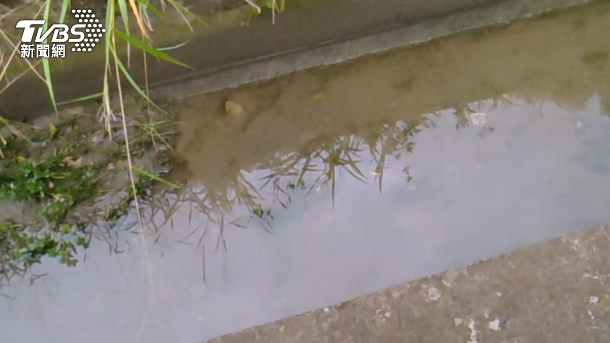 陳男魂斷異鄉。（圖／TVBS）