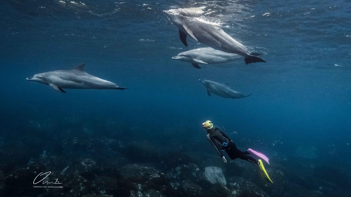 靠周杰倫賺翻！彈頭「驚人版稅」曝光激喊：要跟上腳步│TVBS新聞網