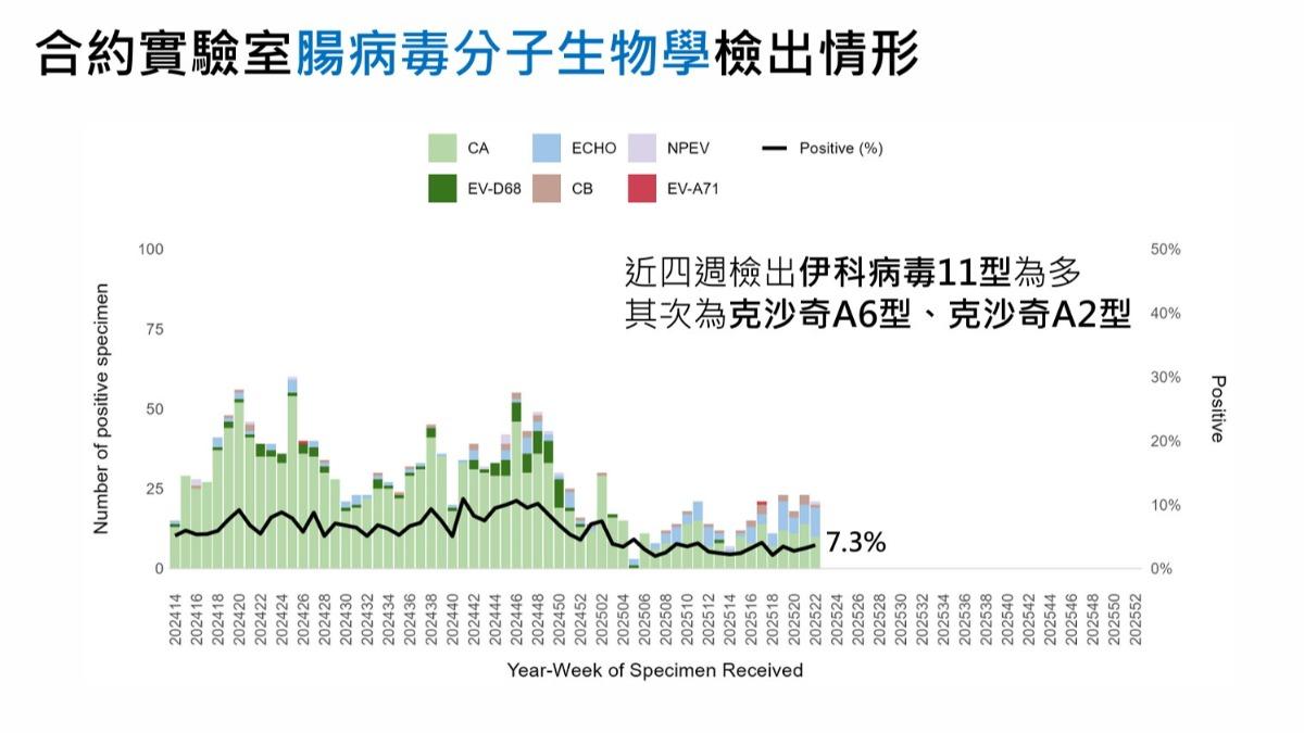 新生兒腸病毒大多以伊科病毒11型為主。（圖／疾管署提供）