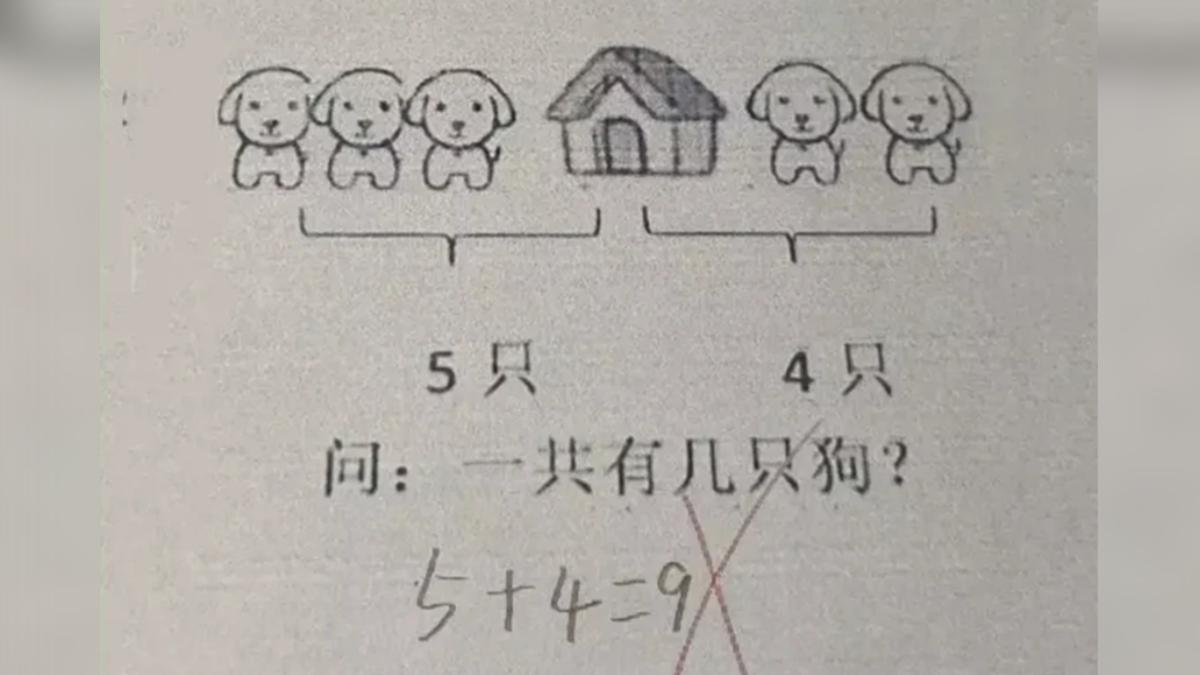 國小一年級數學題，圖片中有幾隻狗？答案竟不是9隻。（圖／翻攝自搜狐）