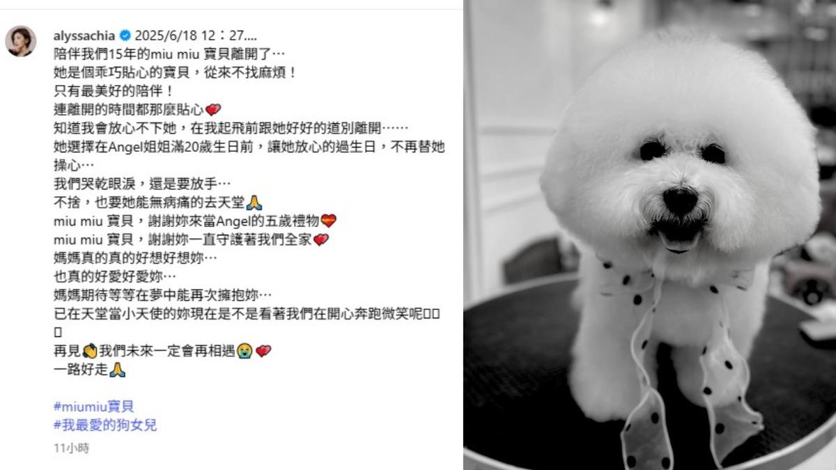 賈靜雯在個人社群平台上發文悼念，字字句句滿是對miu miu的深情與不捨。（圖／翻攝自賈靜雯IG）