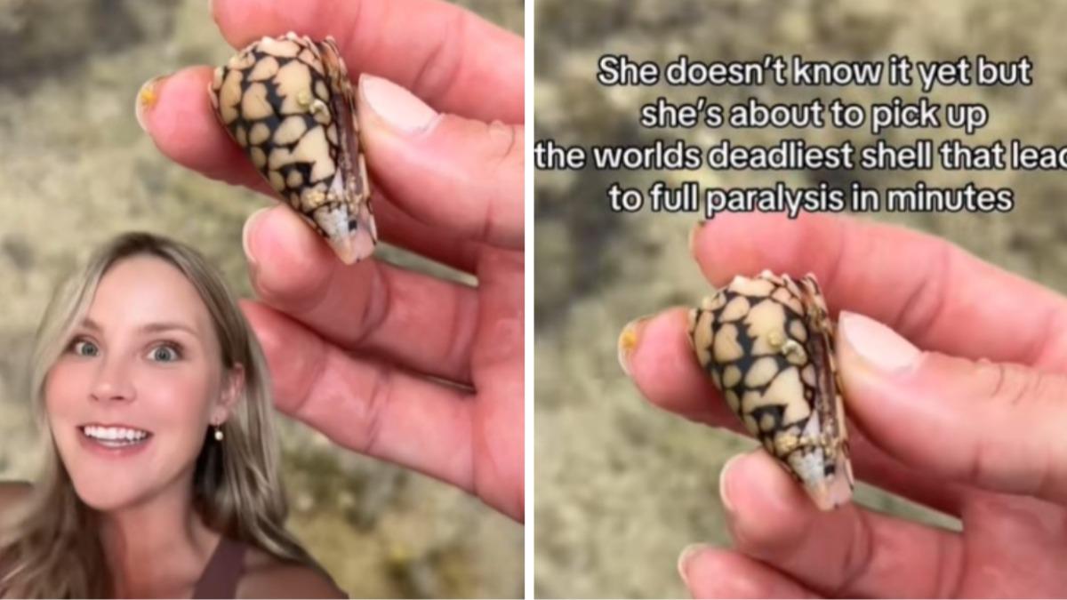 她撿起貝殼後發現裡面有活物，趕緊放回去才沒事。（圖／翻攝自 TikTok beckyleeinoki）