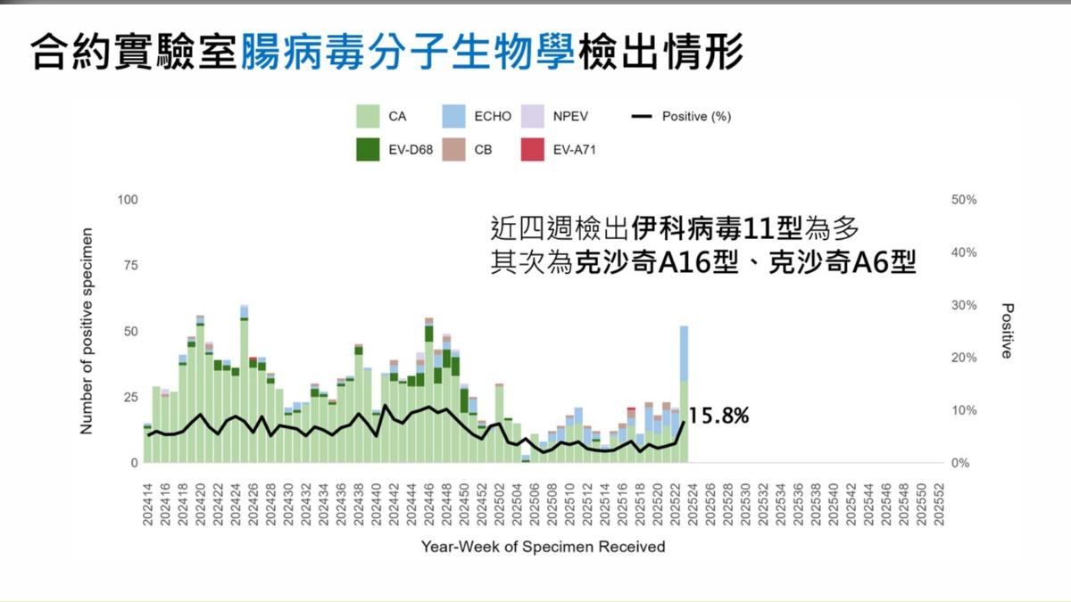 伊科病毒11型目前為腸病毒大宗。（圖／疾管署提供）