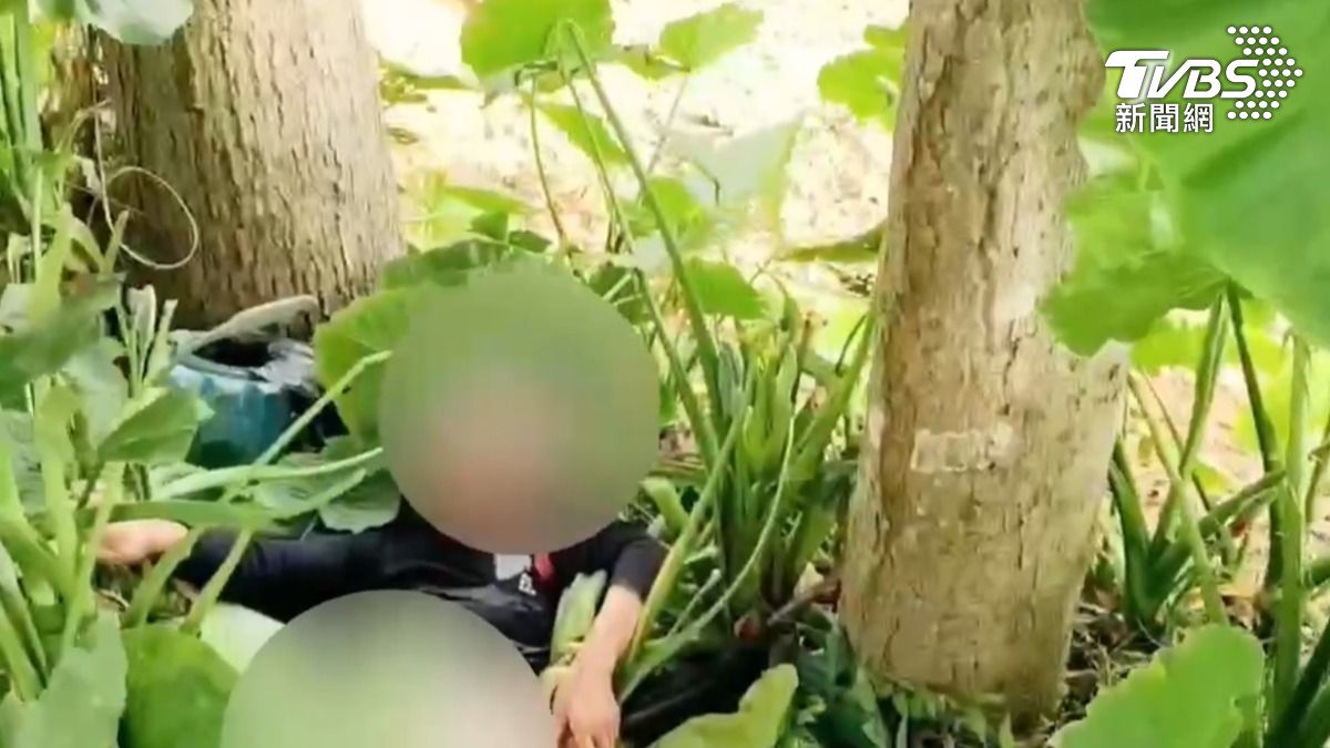 蔡姓奶奶昏迷倒臥在草叢裏。（圖／TVBS）