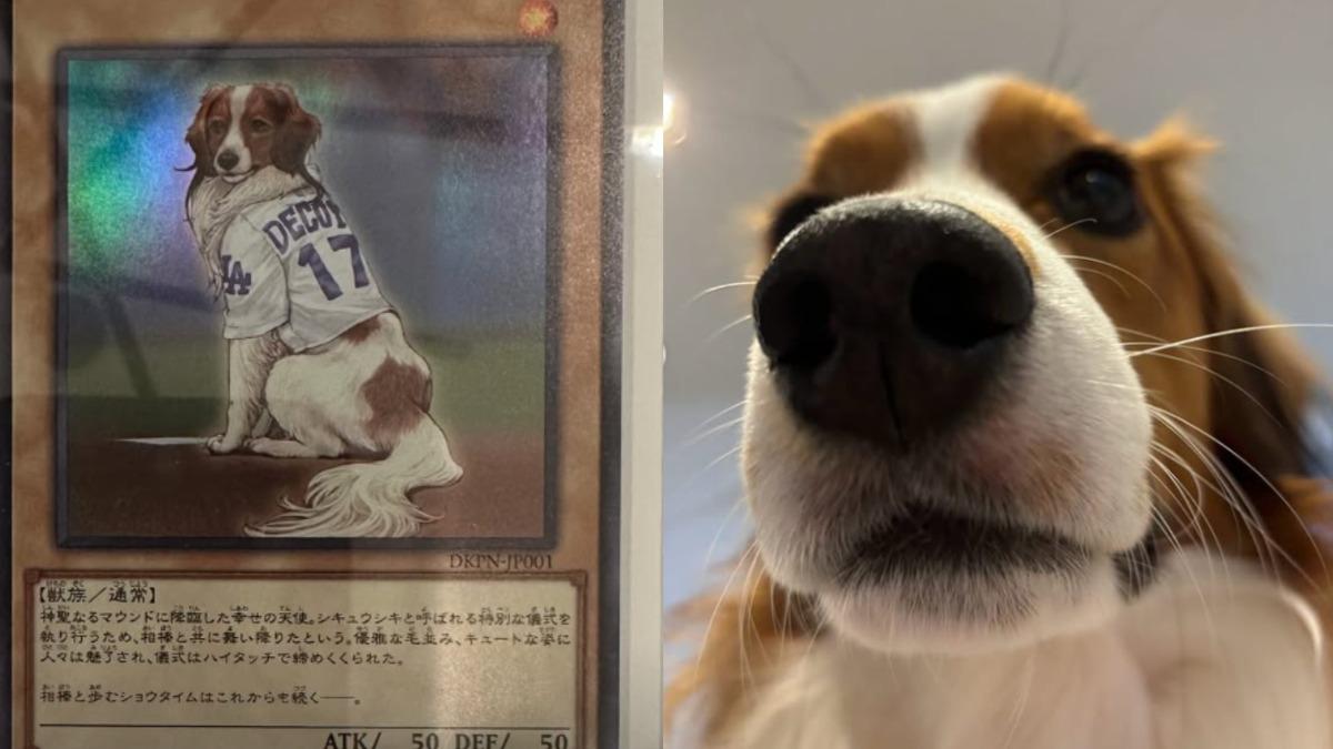 大谷翔平開箱DECOY的遊戲王卡。（圖／翻攝自大谷翔平IG）