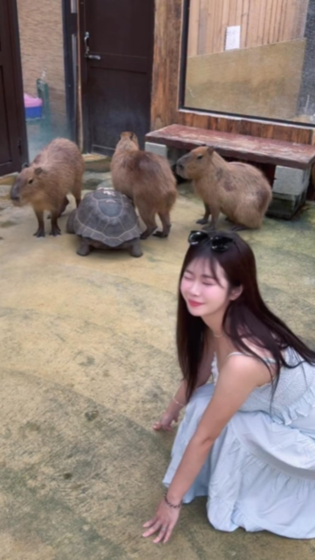 林佳緯約會時幫賴可拍攝的可愛照片。（圖／翻攝自IG）