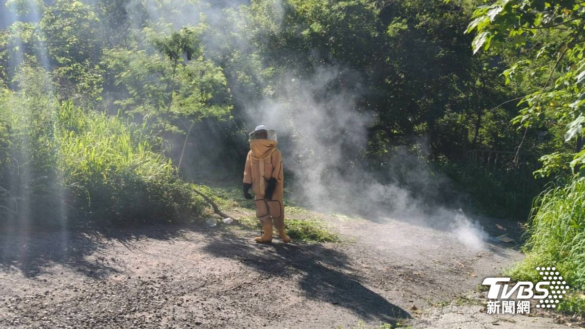 高雄桃源區塔拉拉魯芙隧道今（25）日有民眾被虎頭蜂螫。（圖／TVBS）