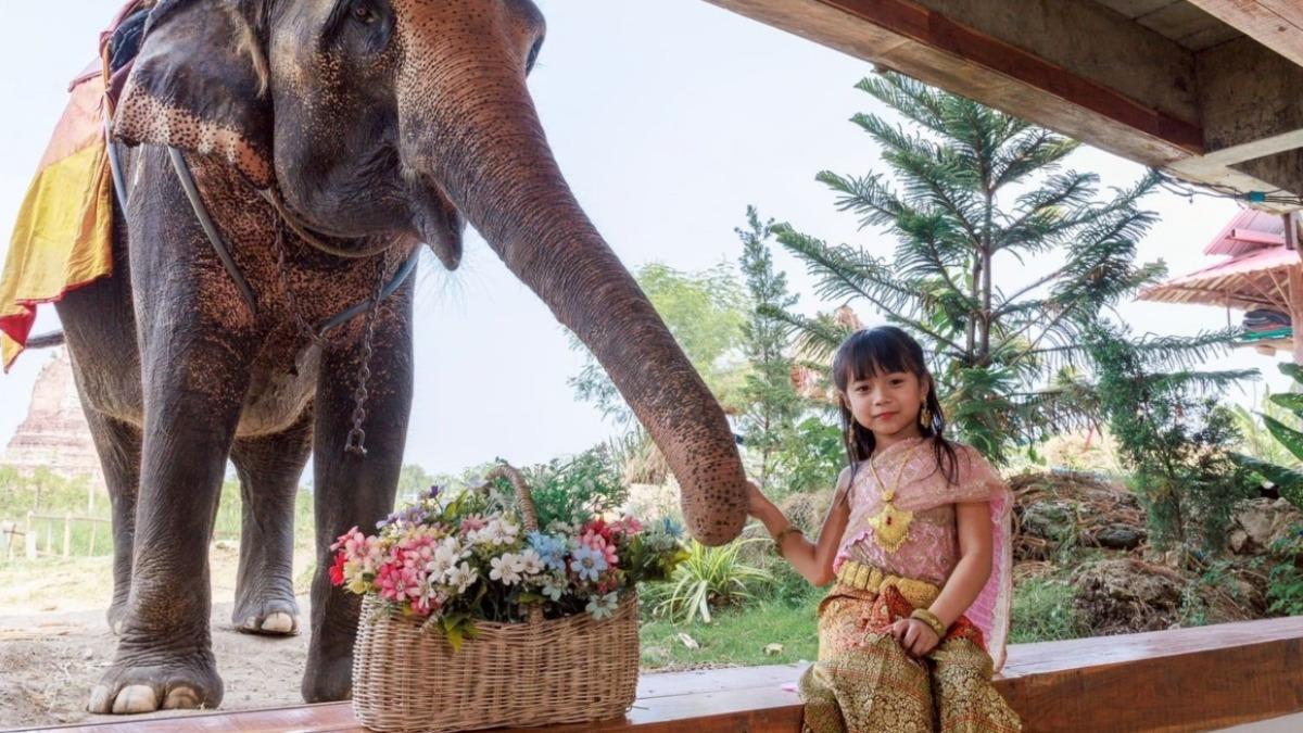 暑假出國看這！韓國4日遊「9千有找」、星馬兩國驚見1字頭│TVBS新聞網
