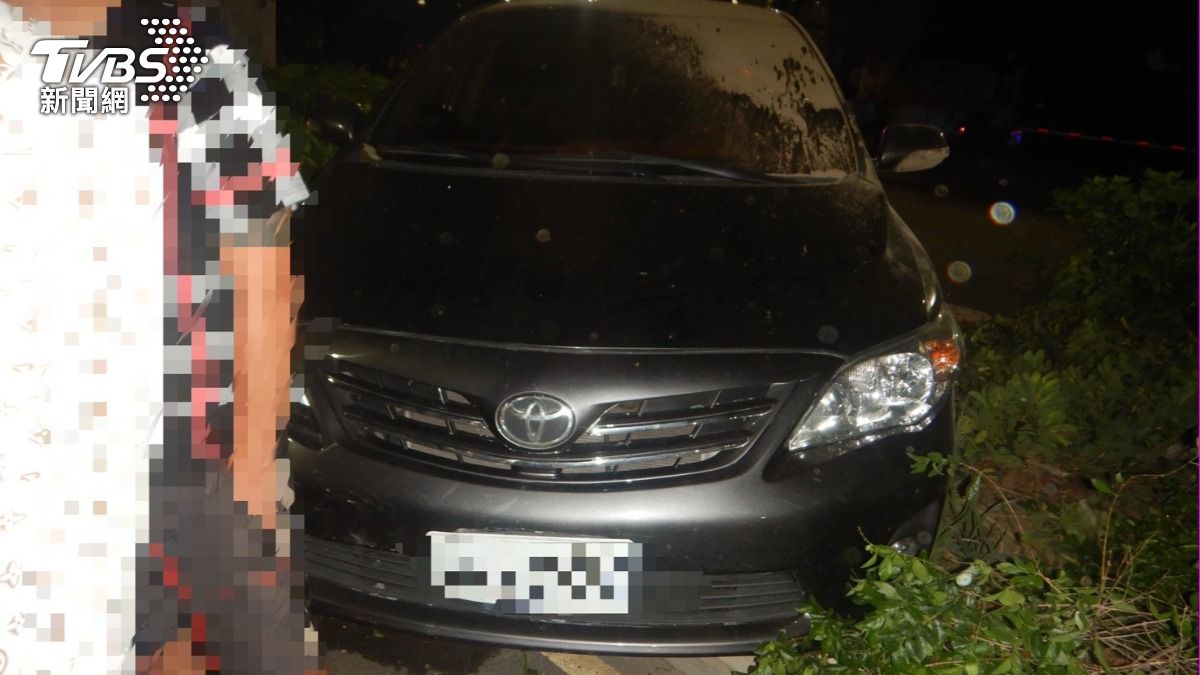 周男閃貓嚇壞。(圖/TVBS)