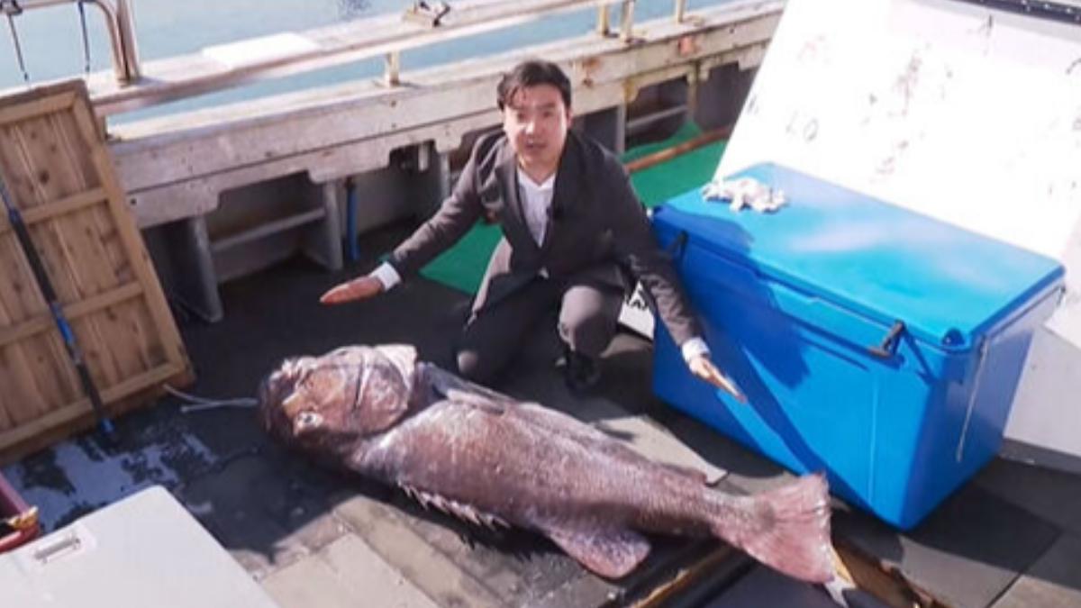 7/5前夕釜山海域連捕「罕見深海魚」　韓網瘋猜：大地震前兆？